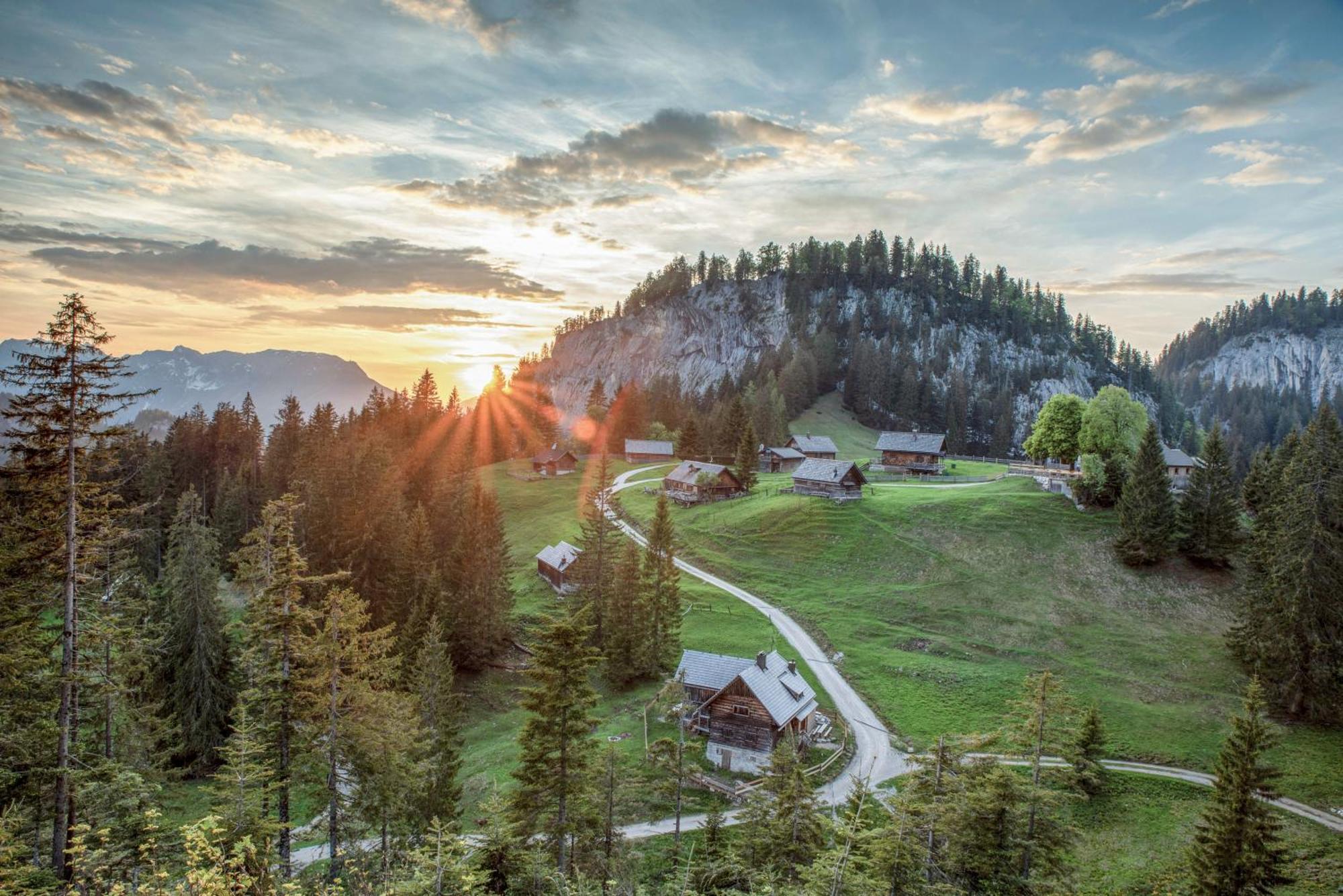 Metzgerwirt Vieh Heli Otel Bad Goisern Dış mekan fotoğraf