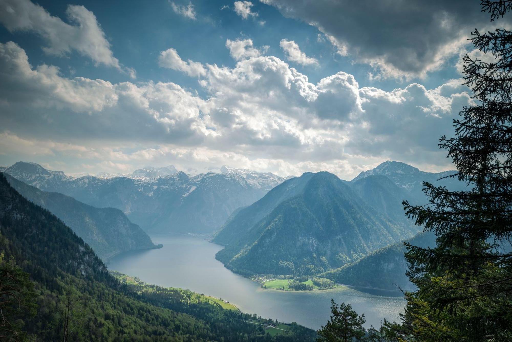 Metzgerwirt Vieh Heli Otel Bad Goisern Dış mekan fotoğraf